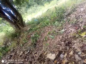 3plots for Sale -Abelenkpe