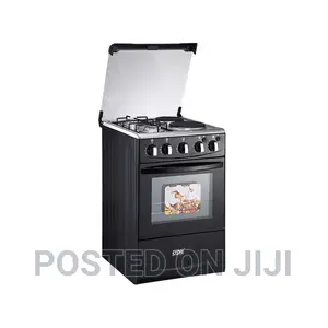 Winning Star Multipurpose Electric Oven 2 Stove 2 Gas