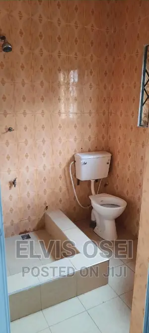 1bdrm Apartment in Flower, Gbawe for rent