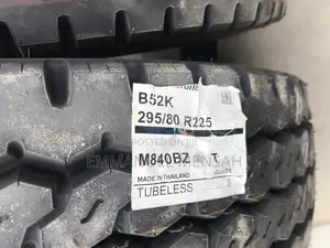295/80r22.5 Brigdestone Truck Tire
