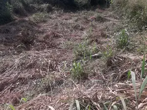 100x45 Plot of Land for Sale at Santasi Kotwi Kyekyewere