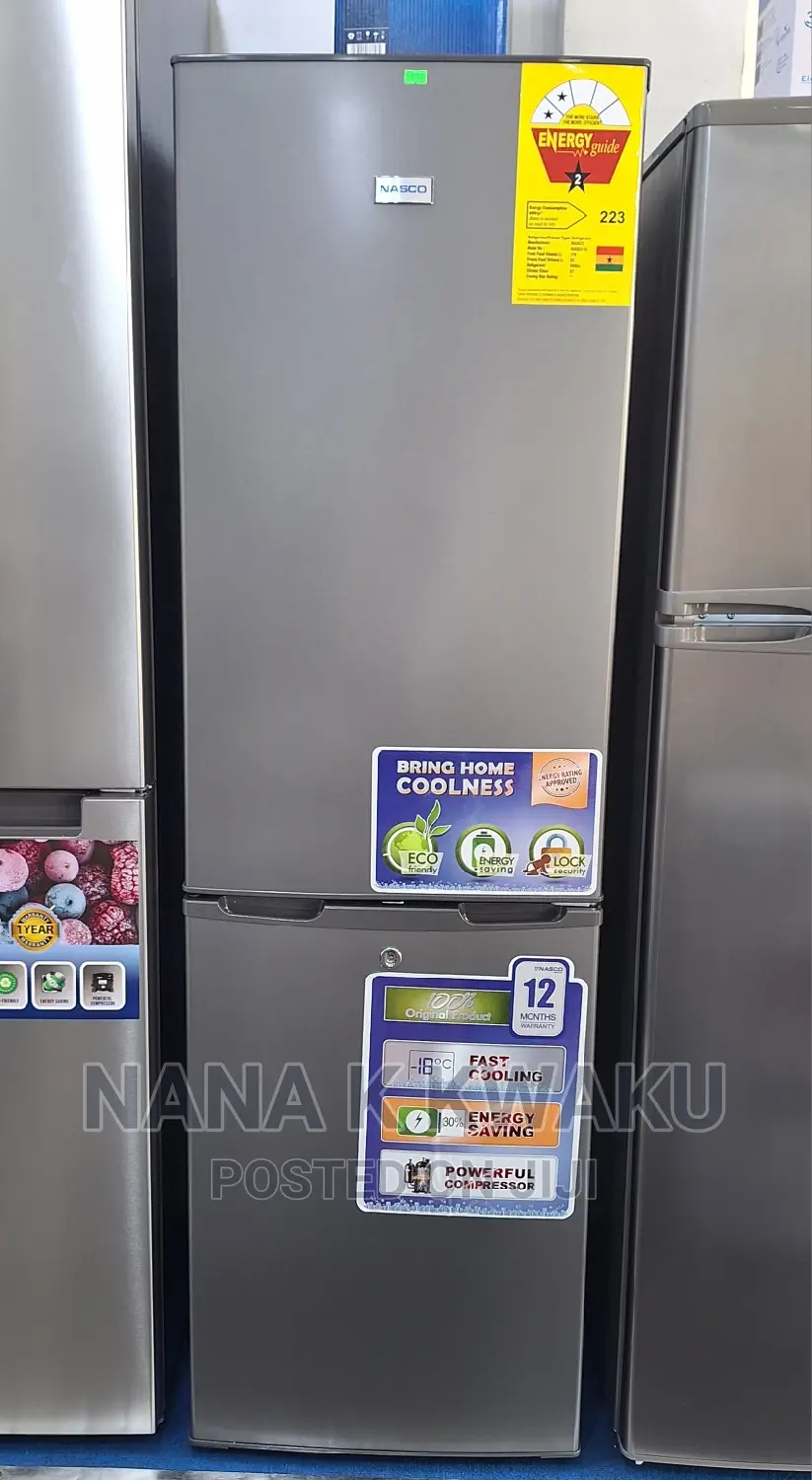 Bottom Freezer_nasco Nasd2-24sk Double Door Fridge