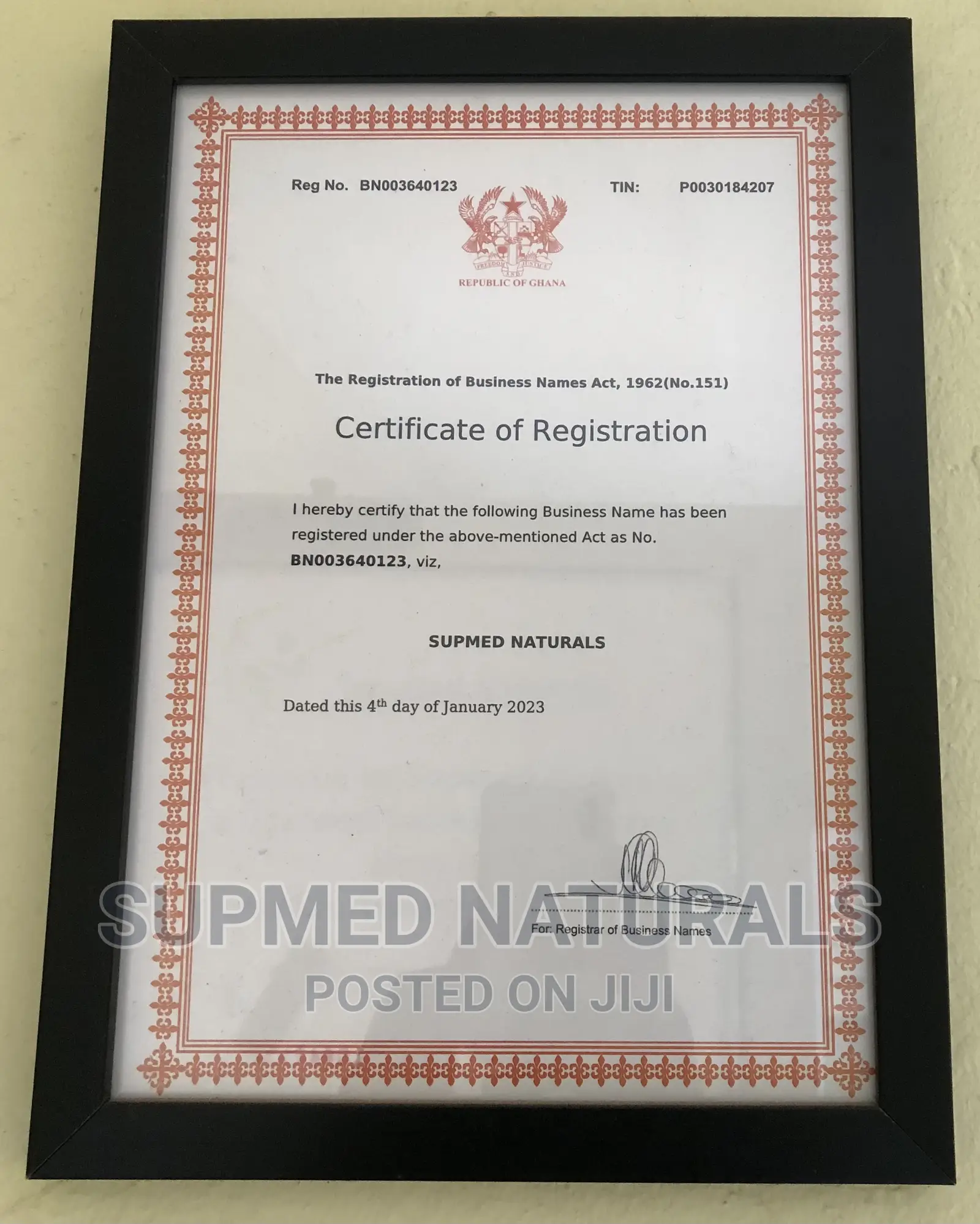 I Will Register Your Business for You in 1 Week
