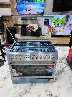 Flame  It Up With 4-2 Stove Gas Electric Cooker Rotisserie