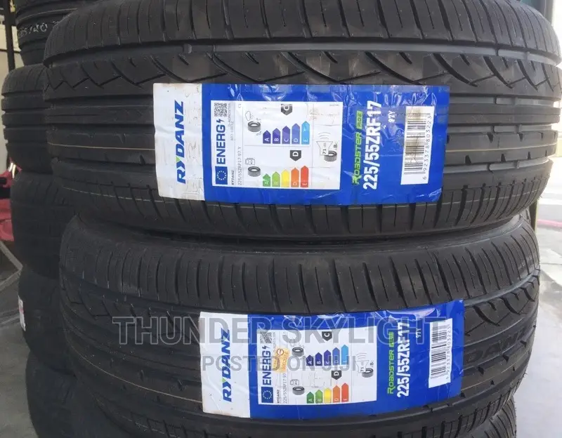 225/55r17 Tyre All Season RYDANZ
