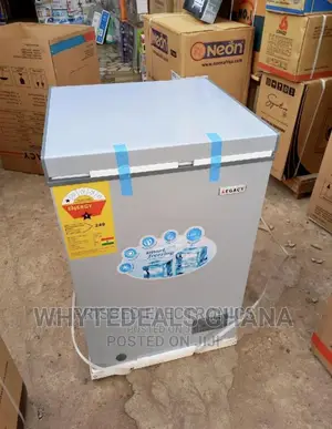 Legacy 100L Energy Saving Fast Freezing Chest Freezer R600A