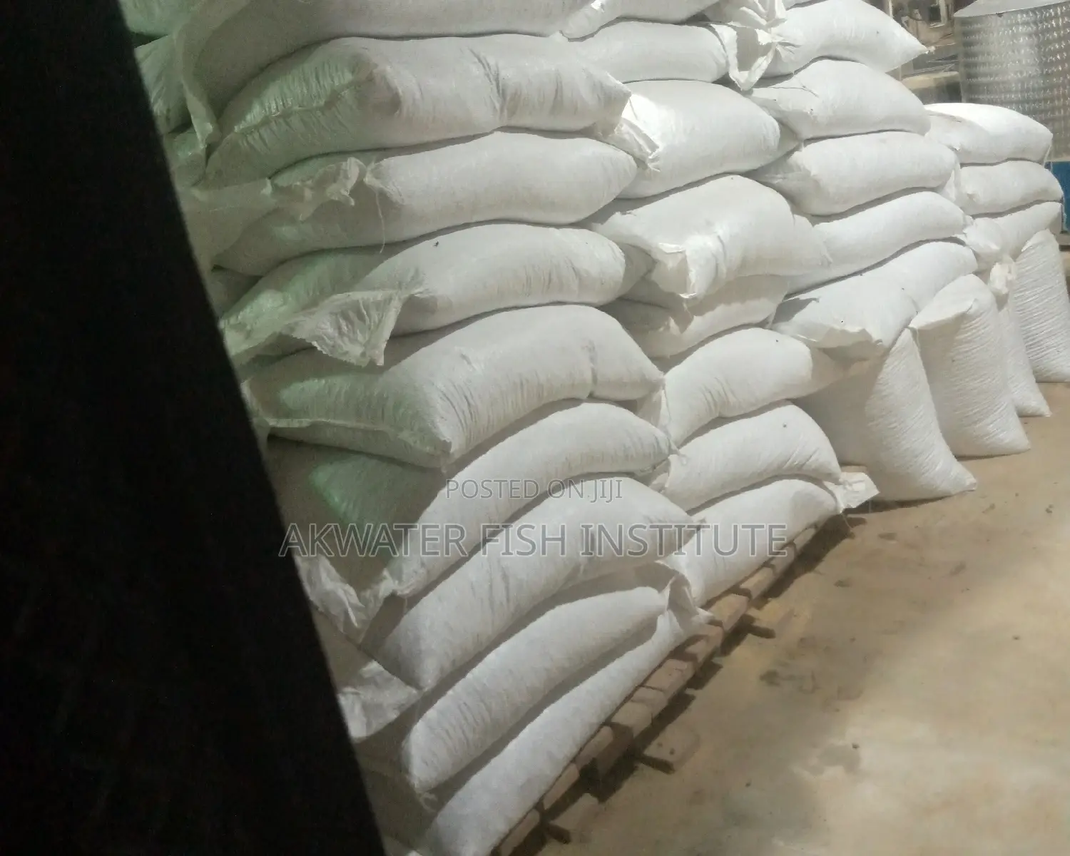 High Quality Floating Catfish Feed