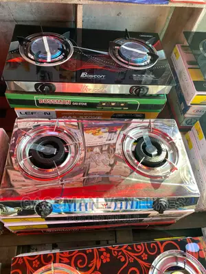 Stainless Steel 2 Burner Gas Stove