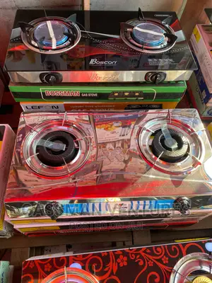 Stainless Steel 2 Burner Gas Stove