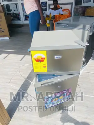 Super Chilling Pear PF-10T Double Door Refrigerator 