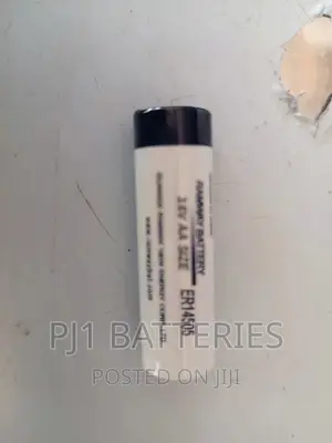 3.6 AA Lithium Batteries