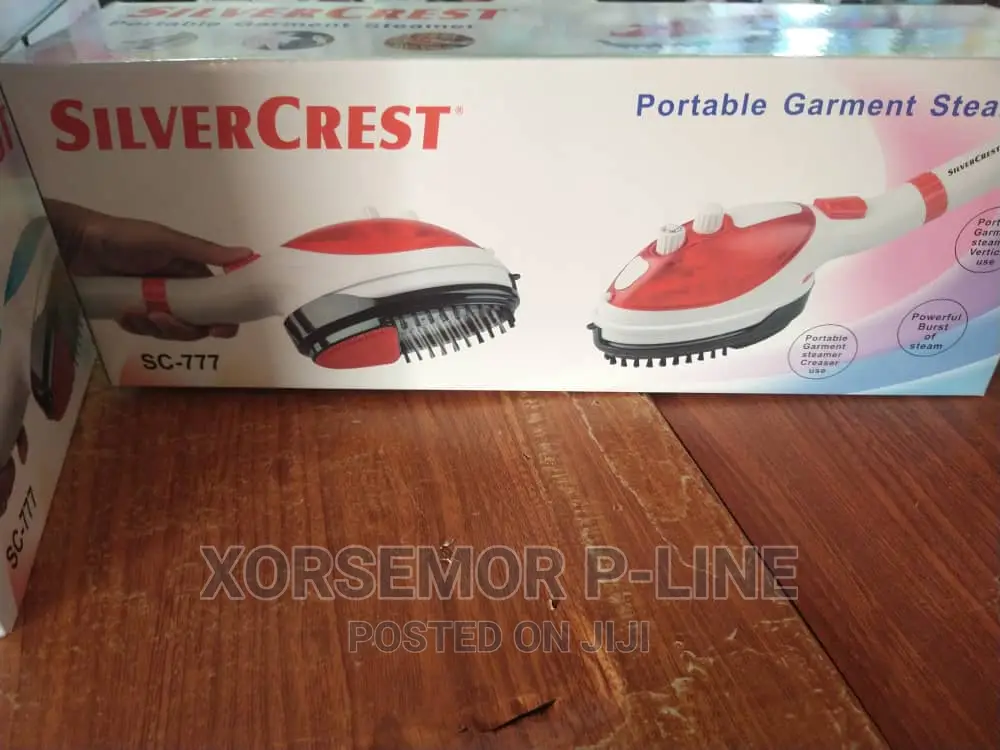 Electric Steam Traveling Iron