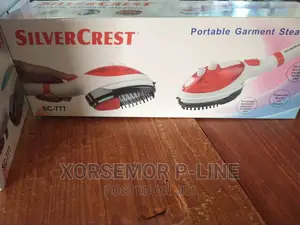 Electric Steam Traveling Iron