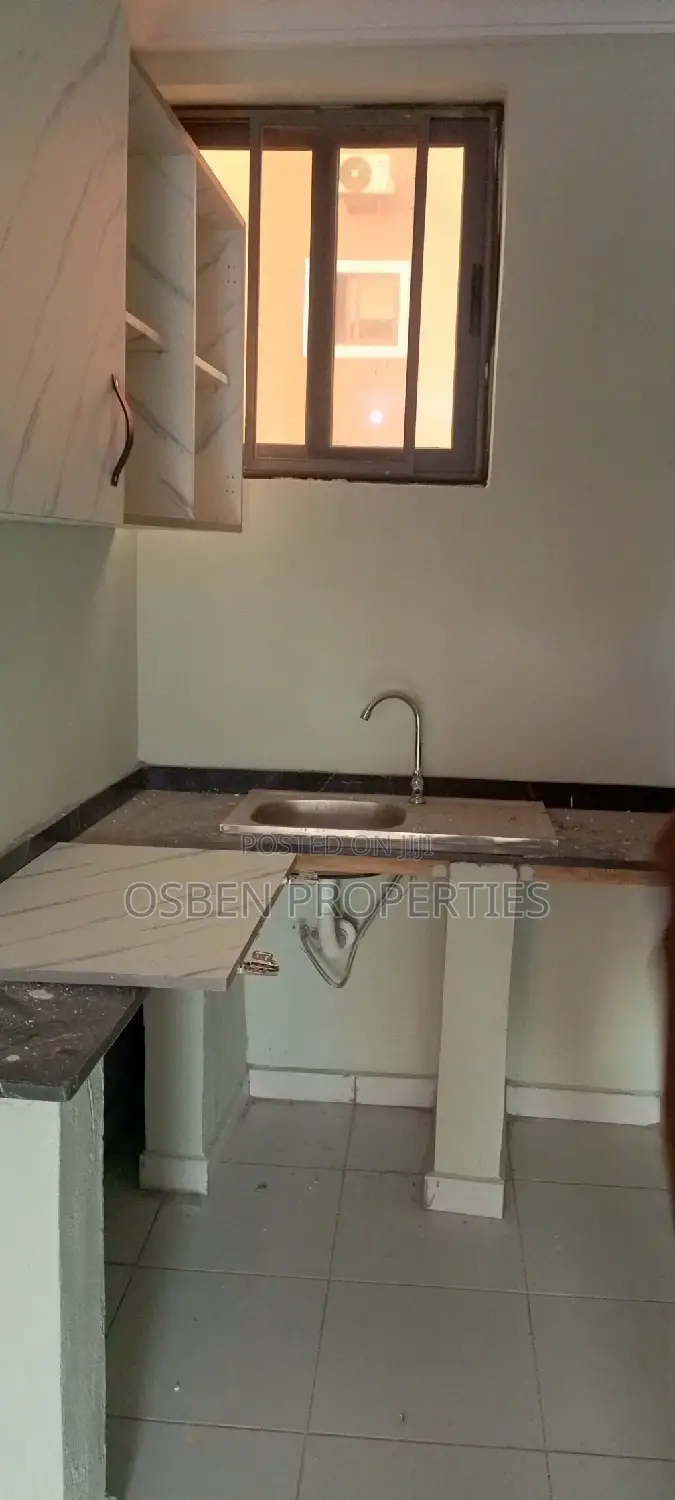 1bdrm Apartment in Pleasant Properties, Lashibi for rent