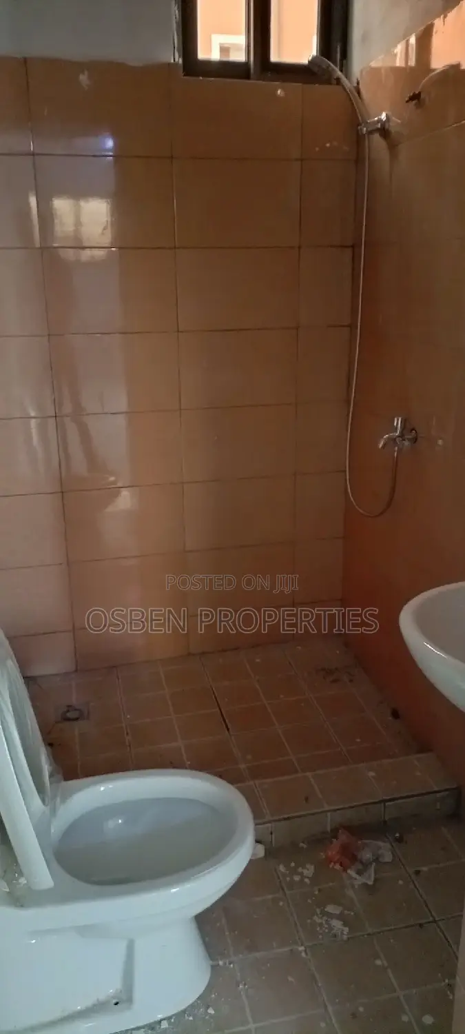 1bdrm Apartment in Pleasant Properties, Lashibi for rent