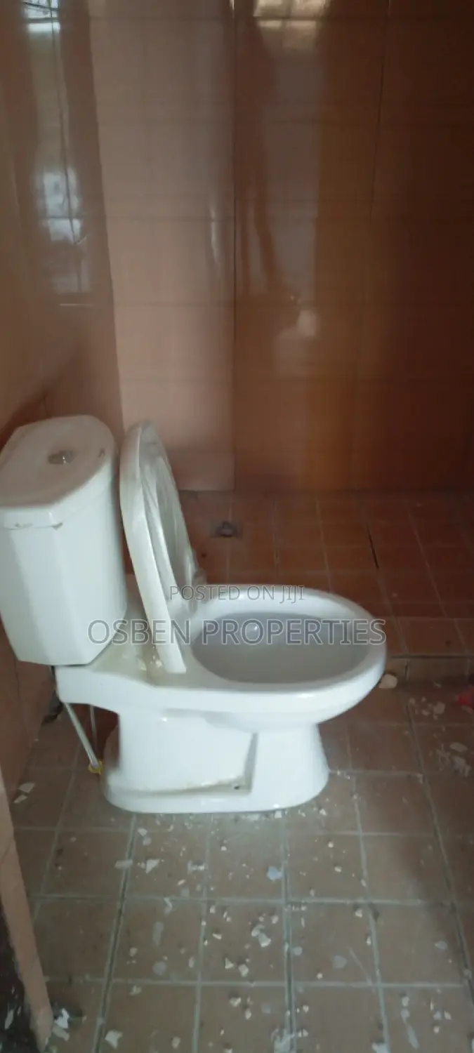 1bdrm Apartment in Pleasant Properties, Lashibi for rent