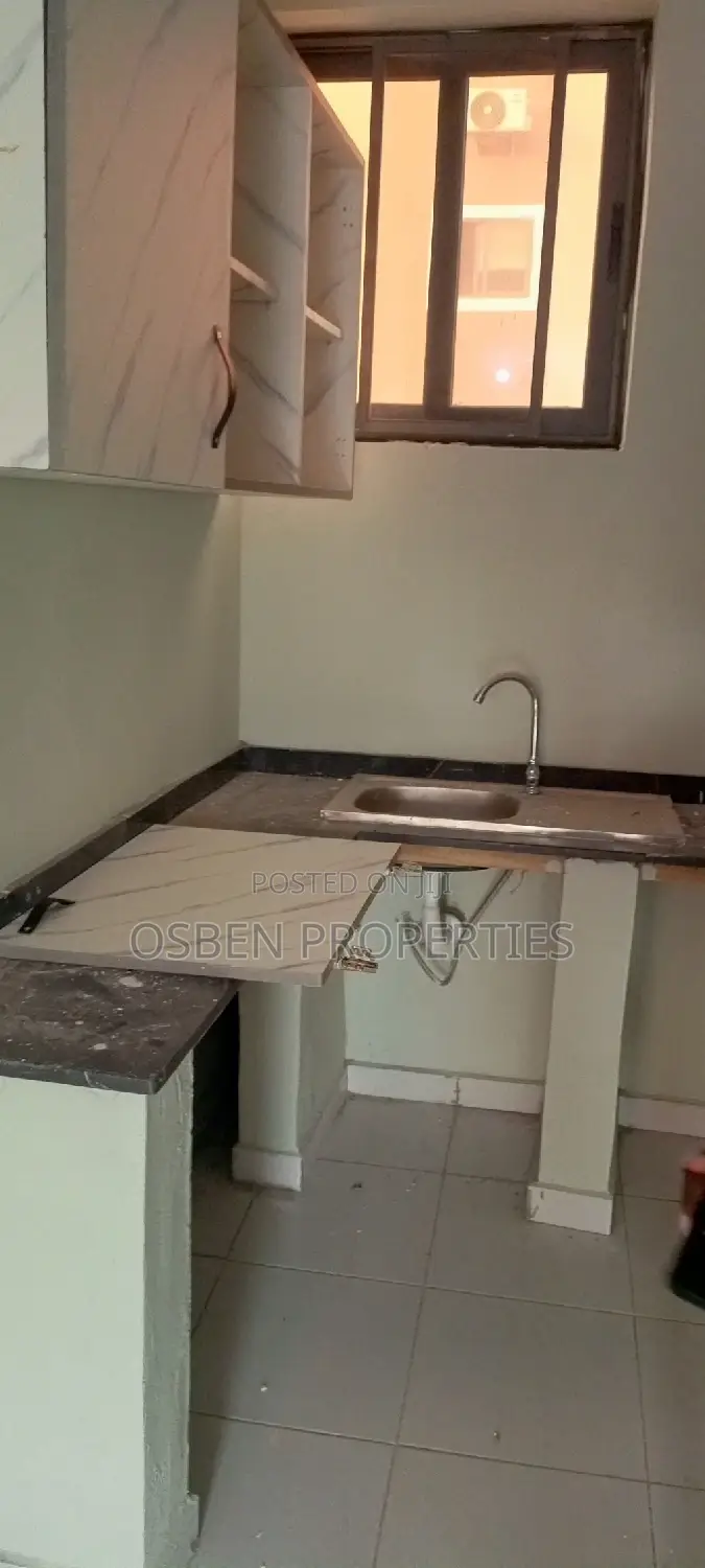 1bdrm Apartment in Pleasant Properties, Lashibi for rent