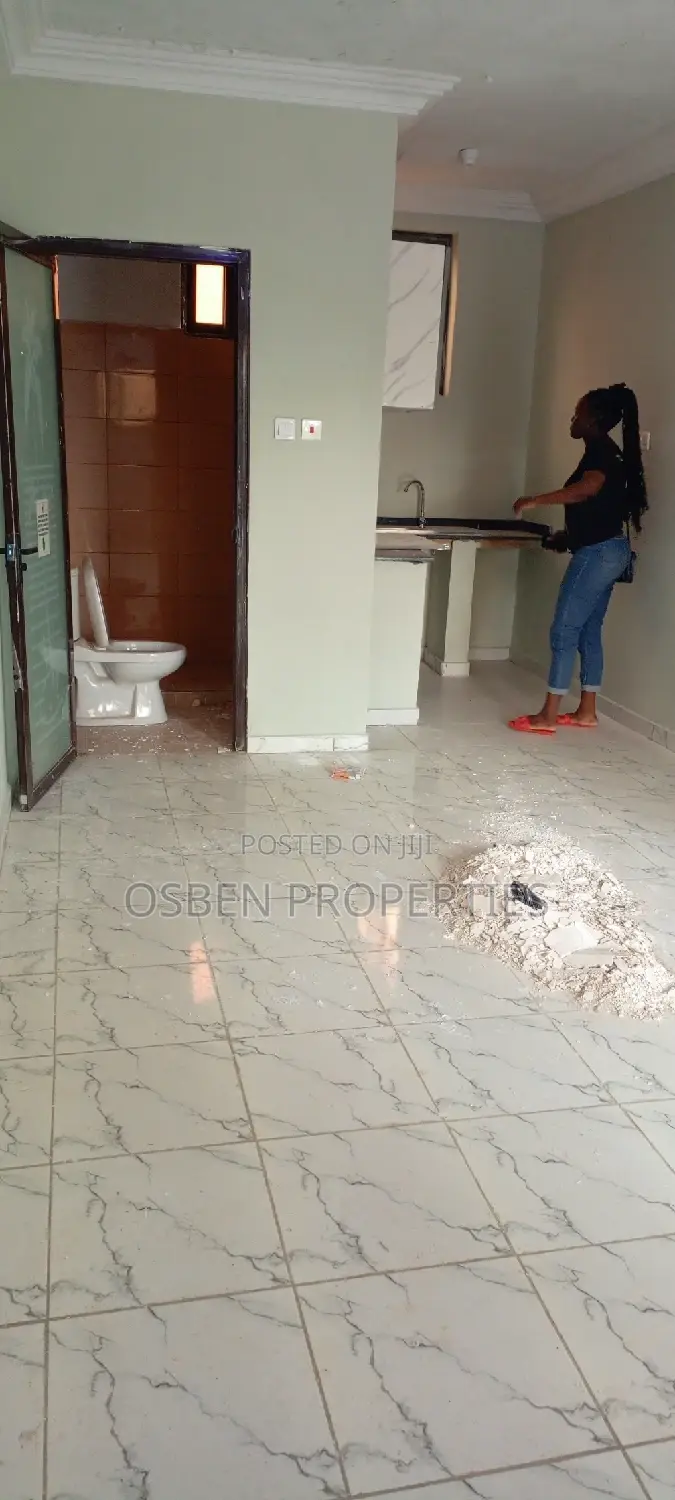 1bdrm Apartment in Pleasant Properties, Lashibi for rent