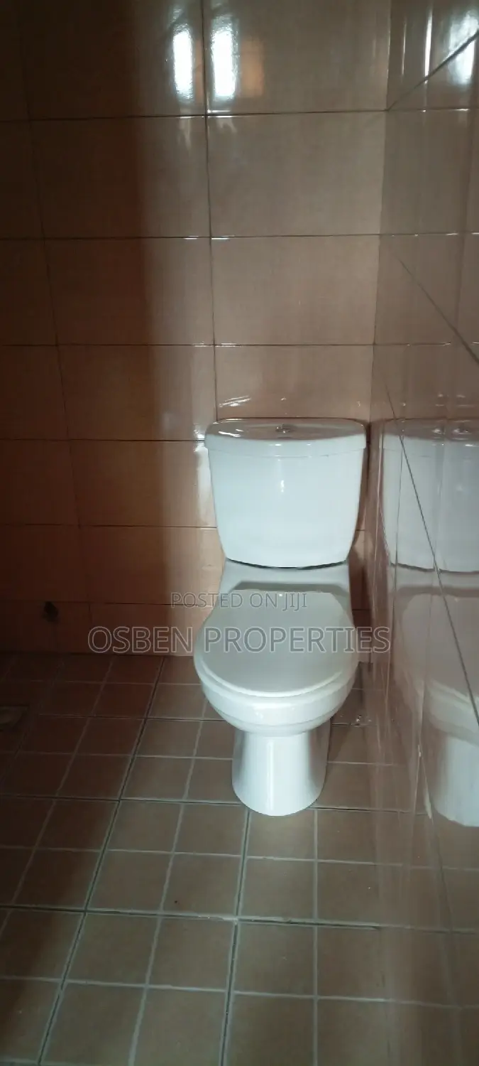 1bdrm Apartment in Pleasant Properties, Lashibi for rent