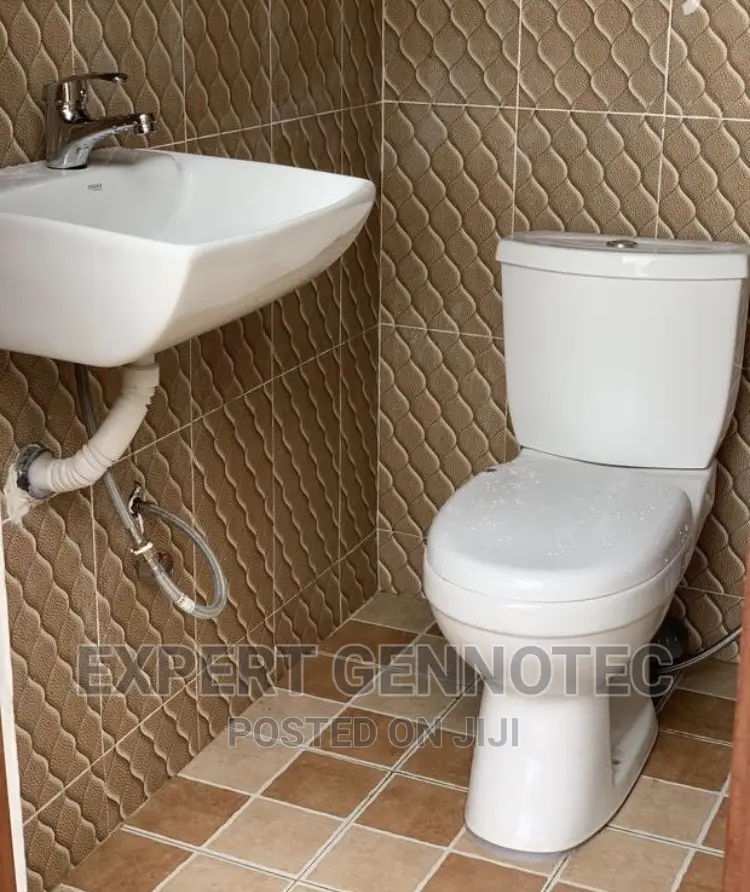 Professional Plumbing Services And Biodigester Installation