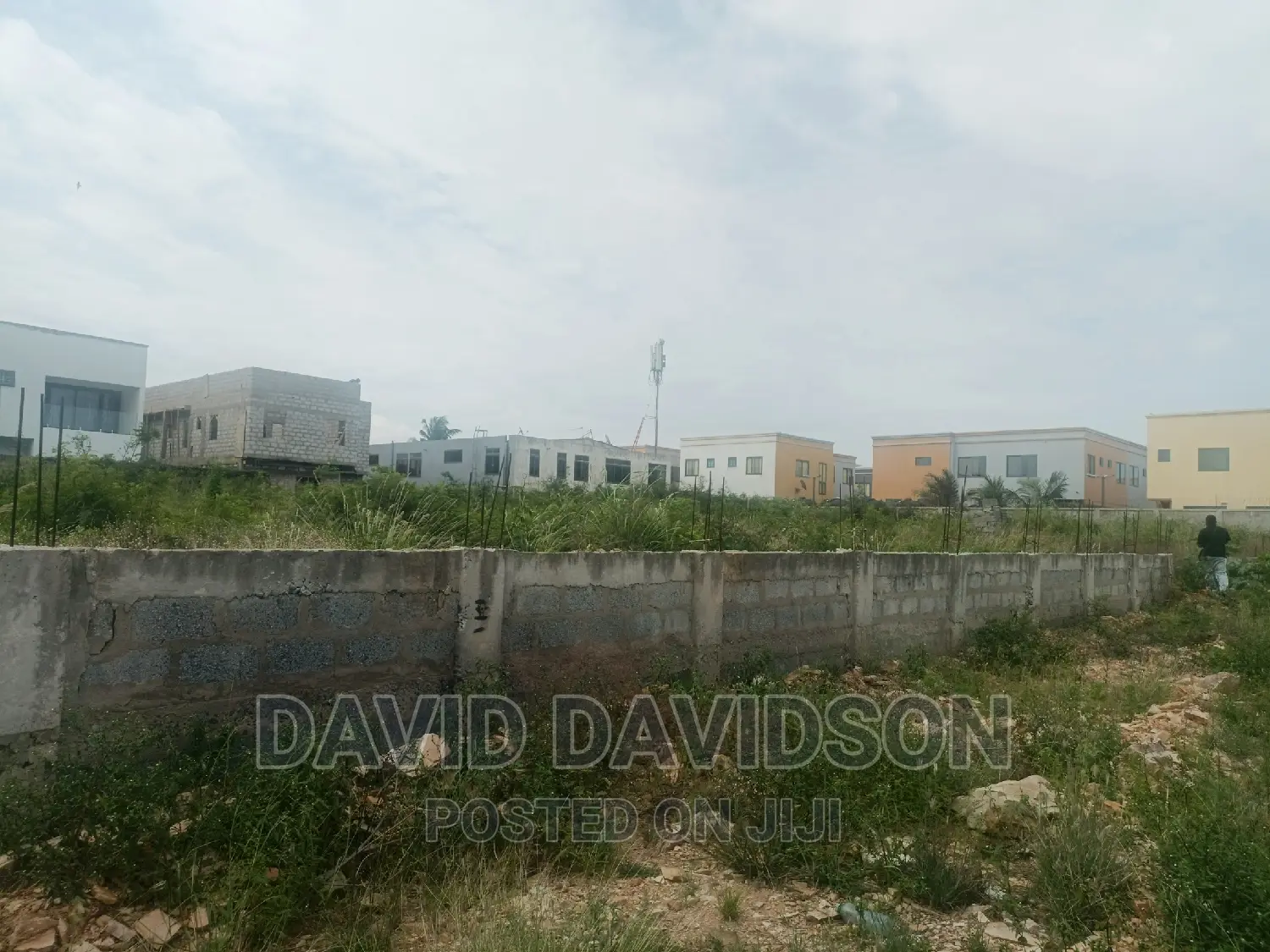 2 Plots Tema Community 6