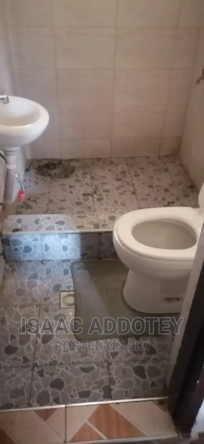 1bdrm Apartment in Lashibi Transforma, Spintex for rent