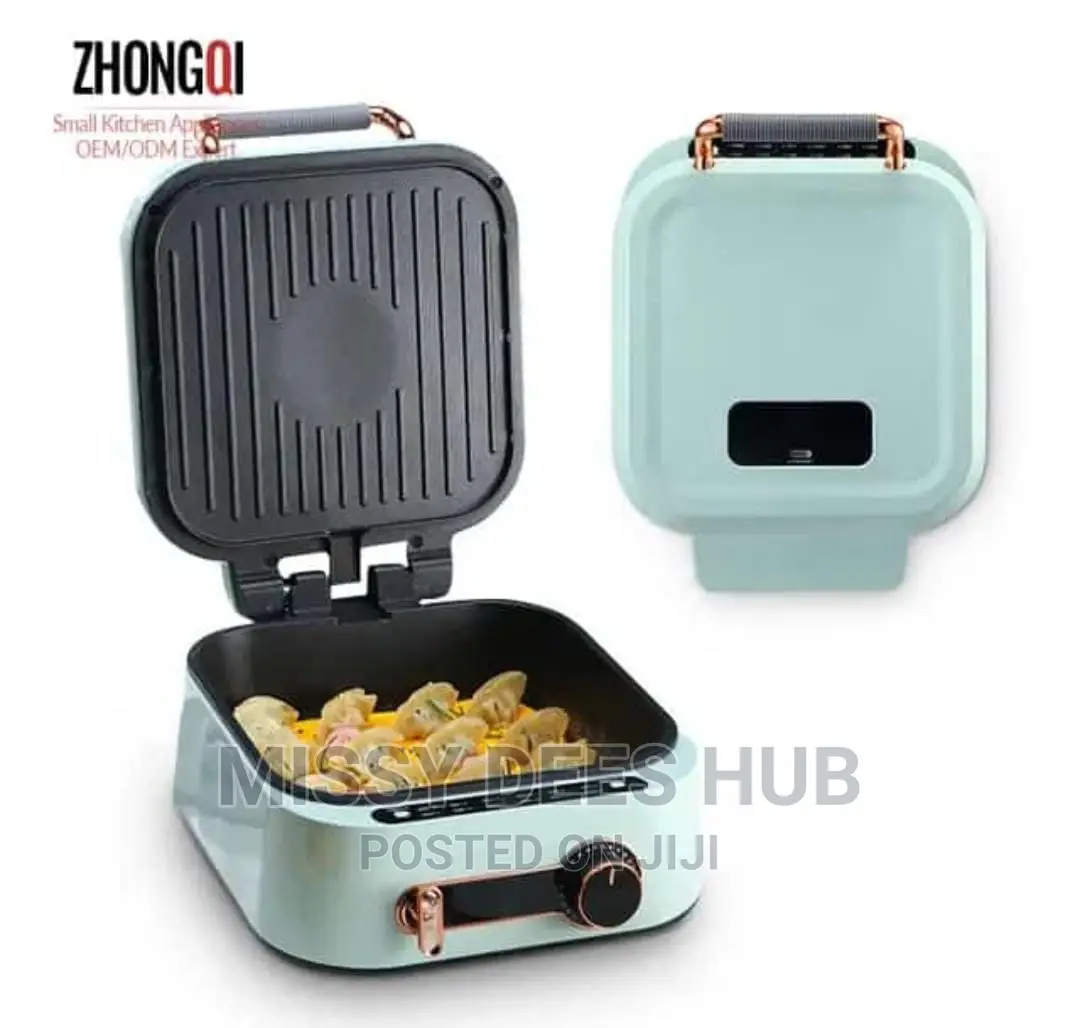 2in1 Electric Hotpot