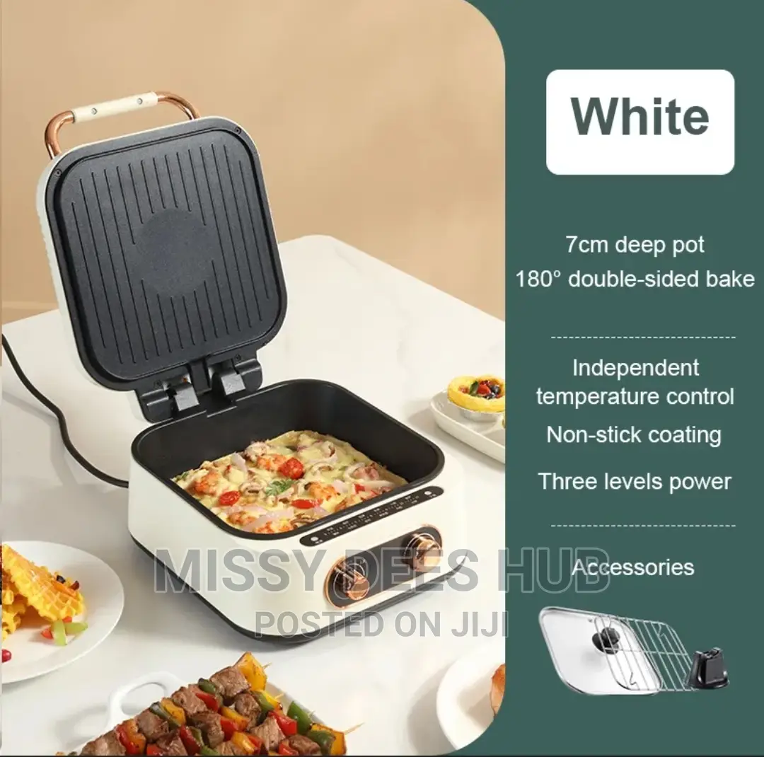 2in1 Electric Hotpot