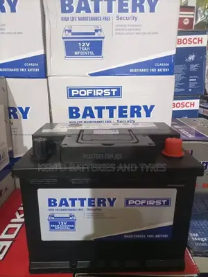 Pofirst Batteries - 13plates