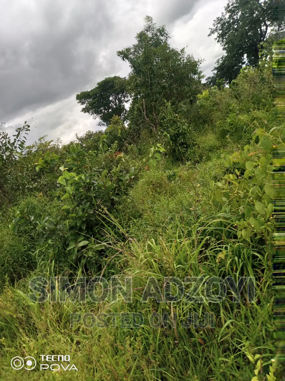 Farm Land for Sale or Login Lease