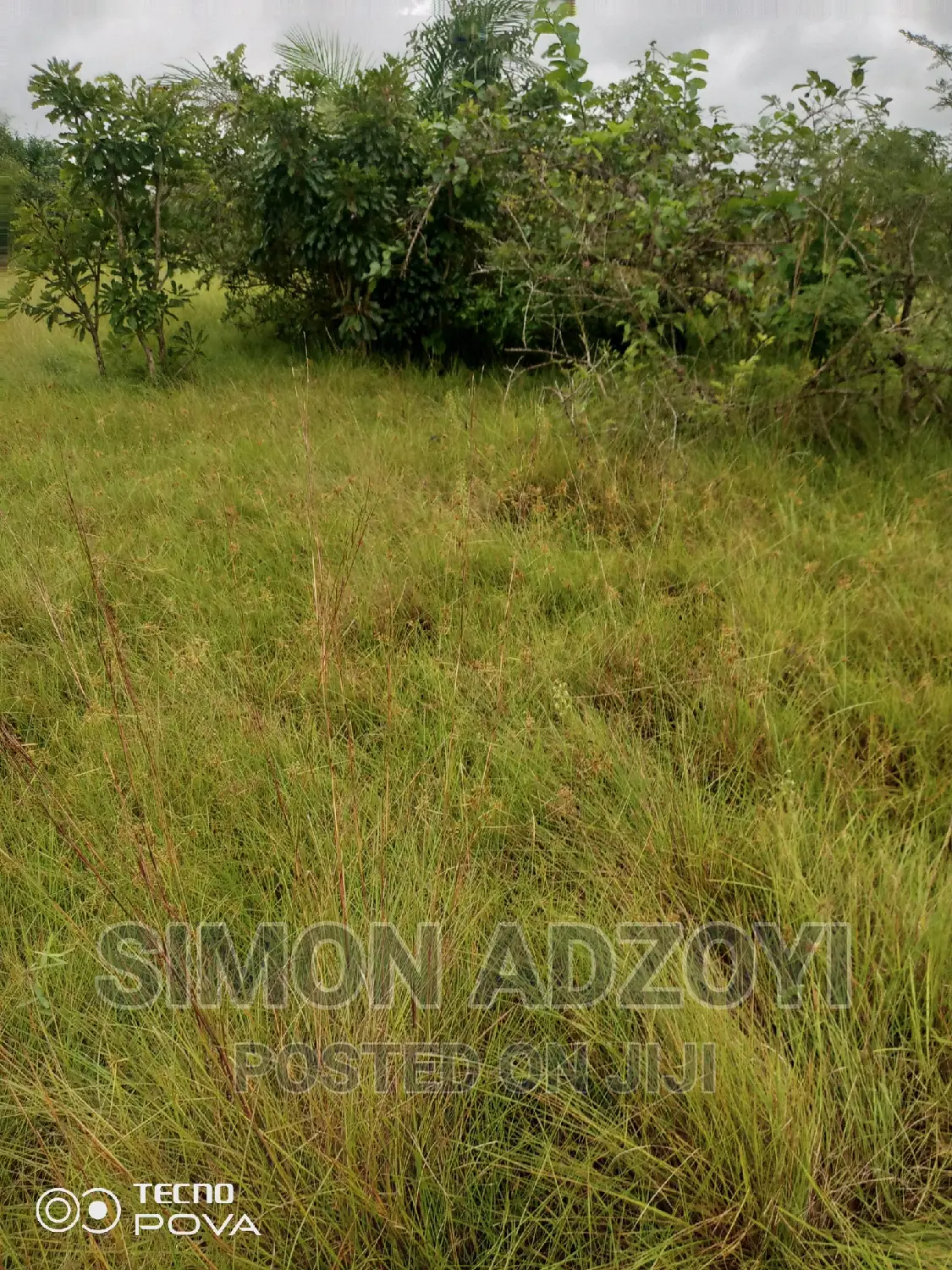 Farm Land for Sale or Login Lease