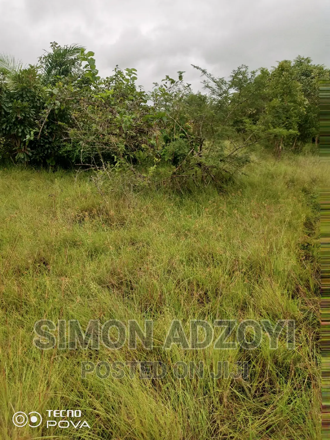Farm Land for Sale or Login Lease