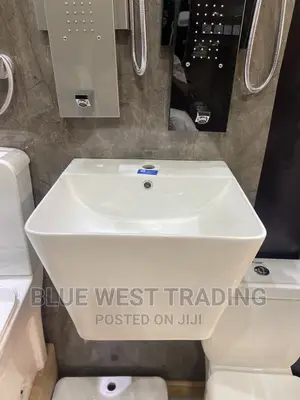 Wall Hung Washand Basin