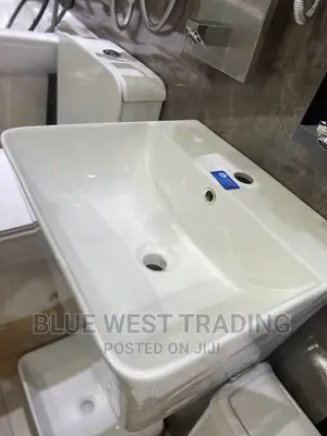 Wall Hung Washand Basin