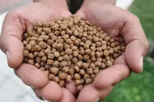 High Quality Floating Catfish Feed
