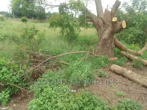 Two Plots of Titled Land Intact Documents Sprintex Near Dvla