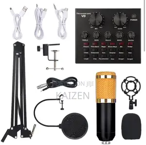 Bm800 Studio Microphone Set