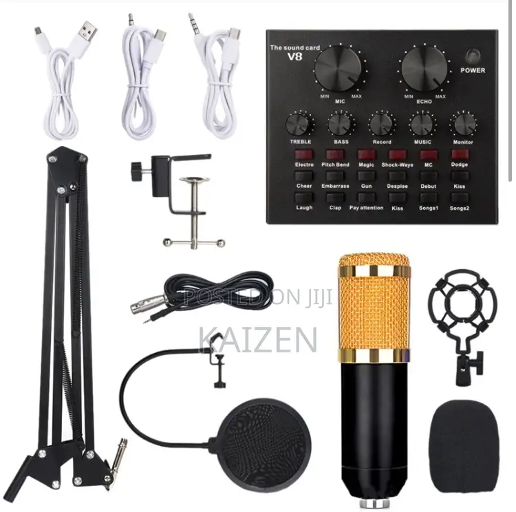 Bm800 Studio Microphone Set