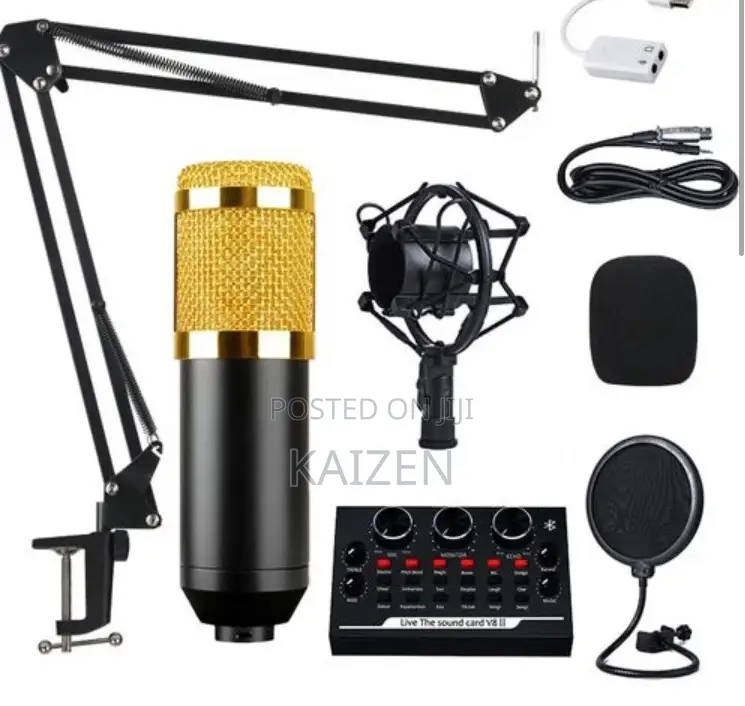 Bm800 Studio Microphone Set