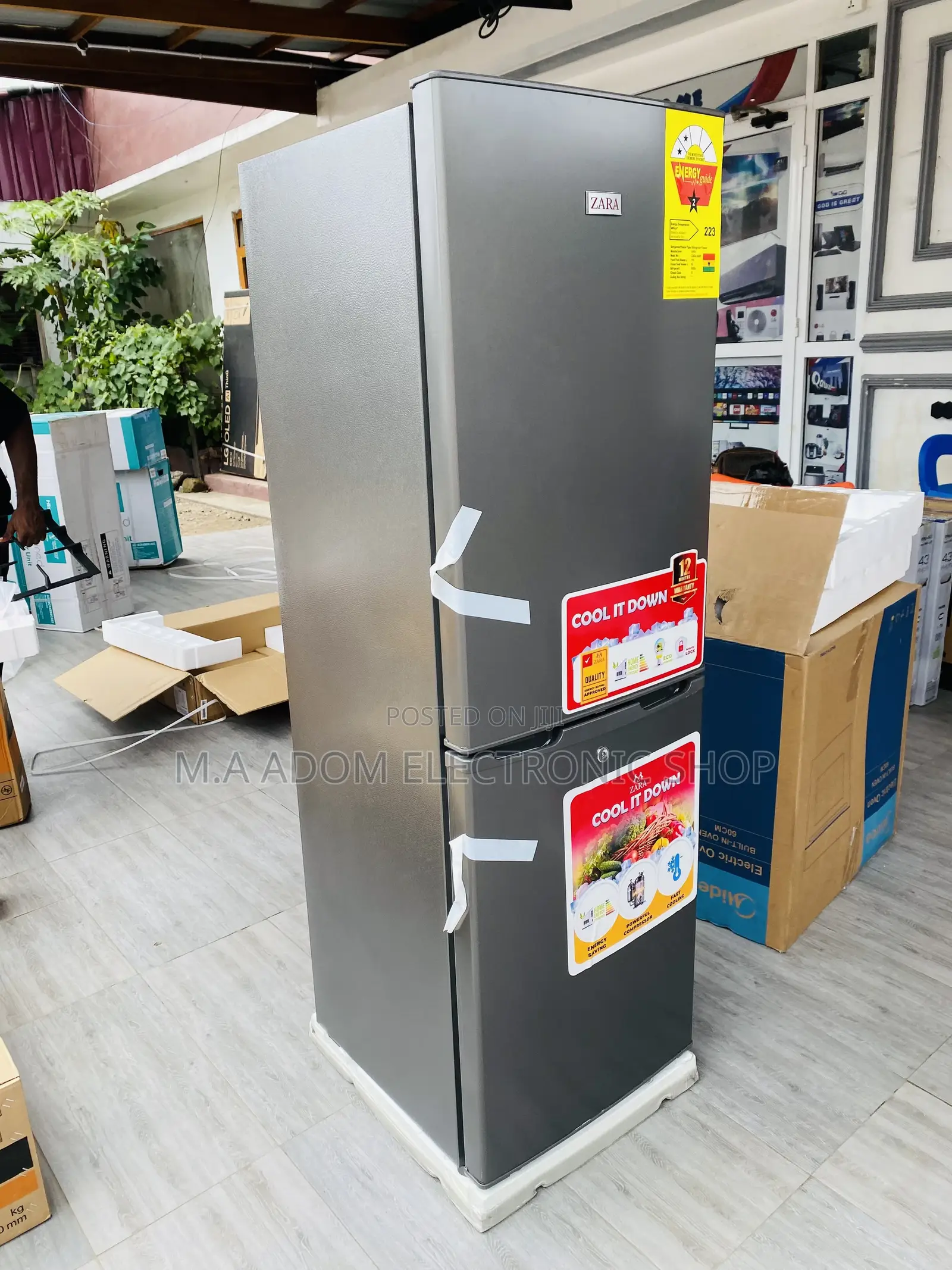 Stainless Steel Zara 240BF Double Door Refrigerator 