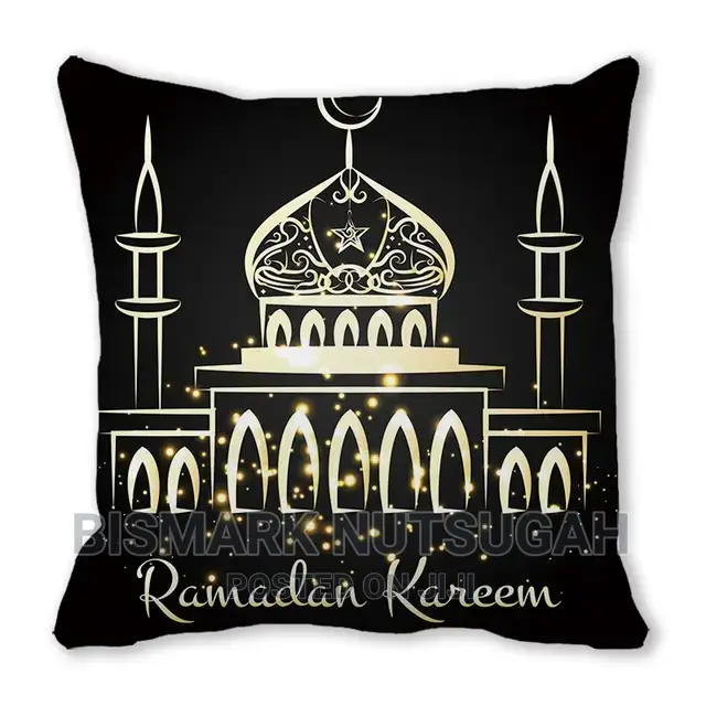 Sofa Pillows for Sale