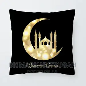 Sofa Pillows for Sale
