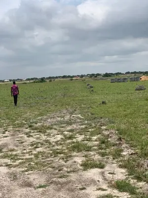 Neatly Demarcated Plots for Sale at Tsopoli