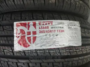 265/65r17 112H Zextour Made in China