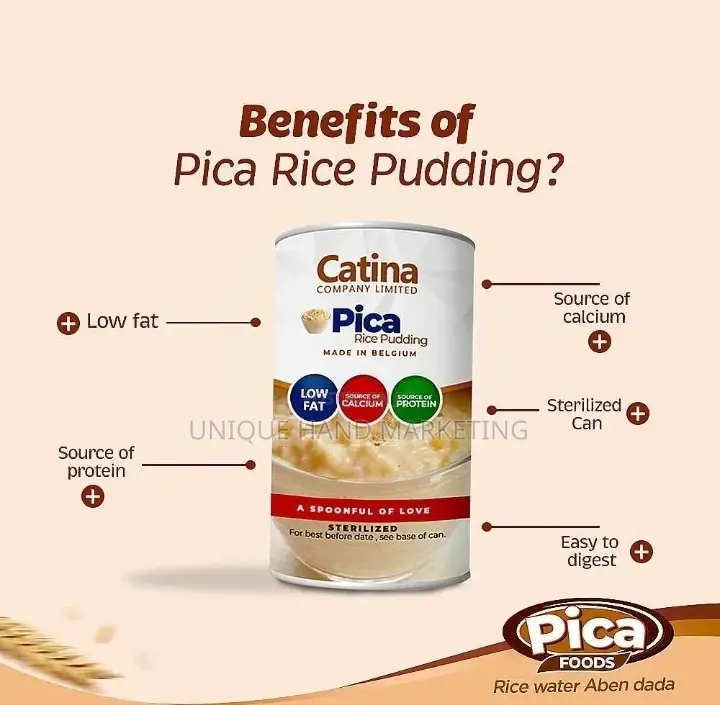 Pica Rice Pudding