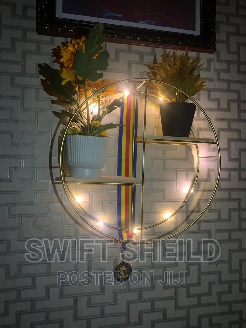 Metalic Wall Shelves With Light for Decor Artefacts