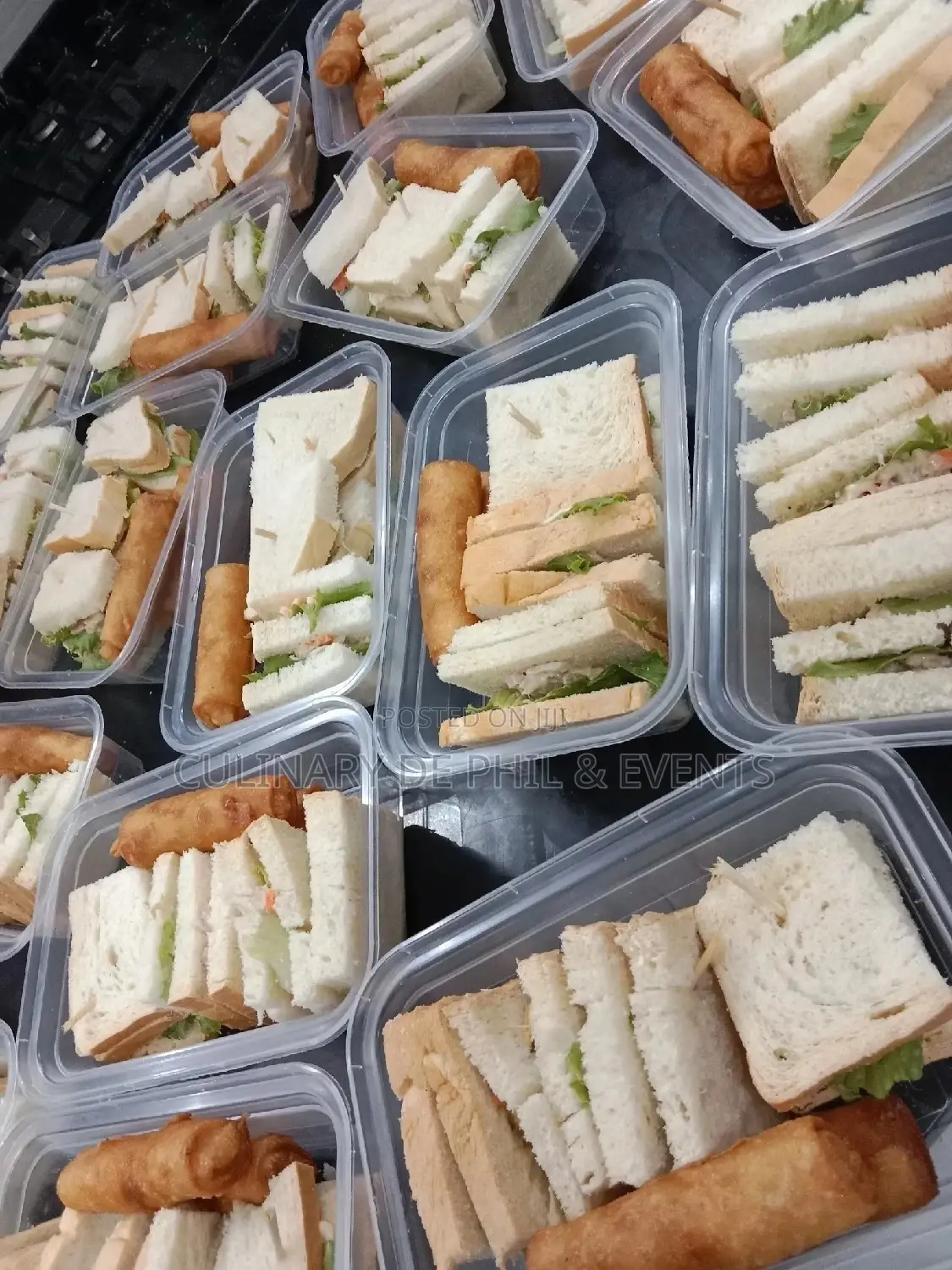 Sandwich and Spring Rolls