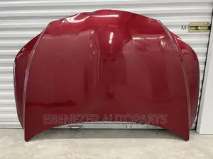 Lexus RX 350 Bonnet Available