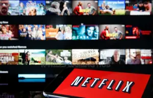 Netflix Account