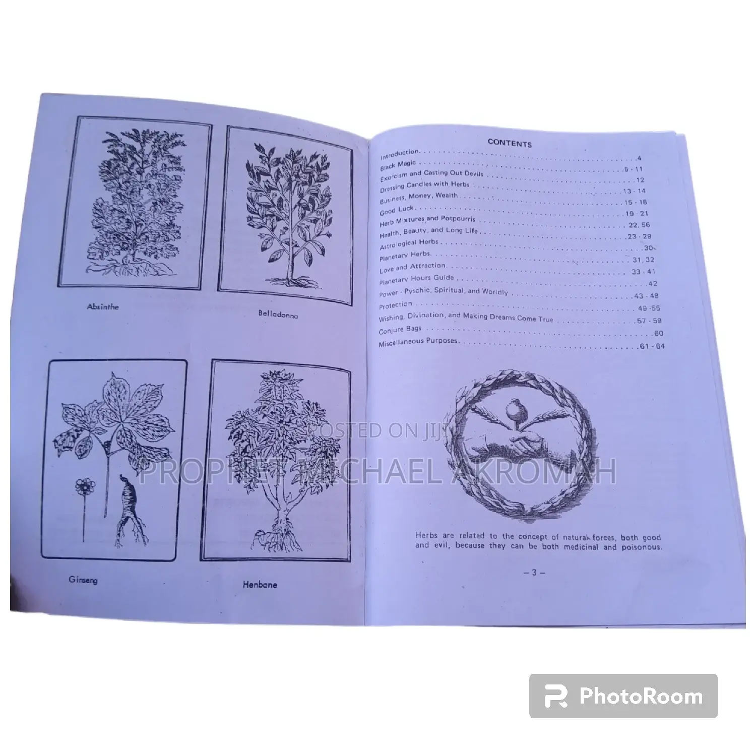 The Modern Herbal Spell Book